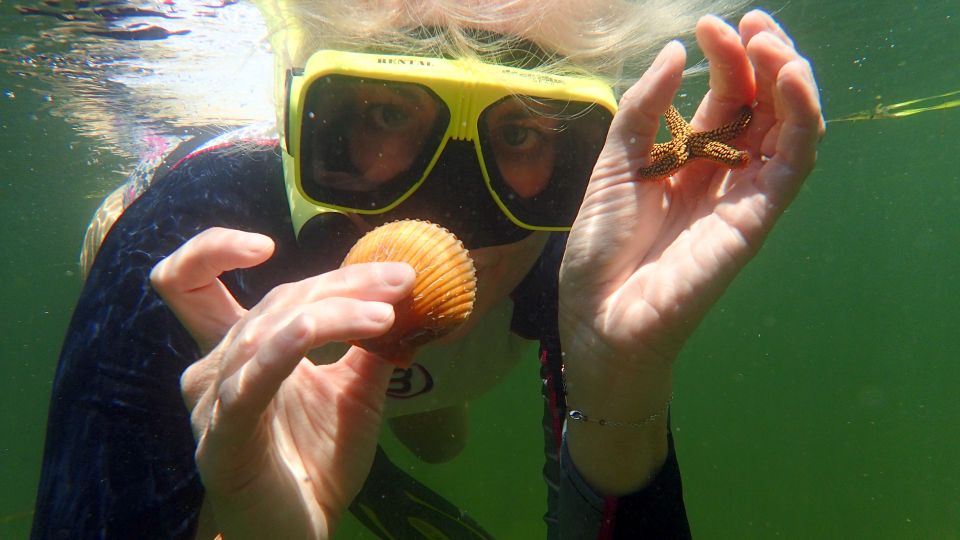 Homosassa: Snorkel & Scallop Hunt in Gulf of Mexico - Final Words