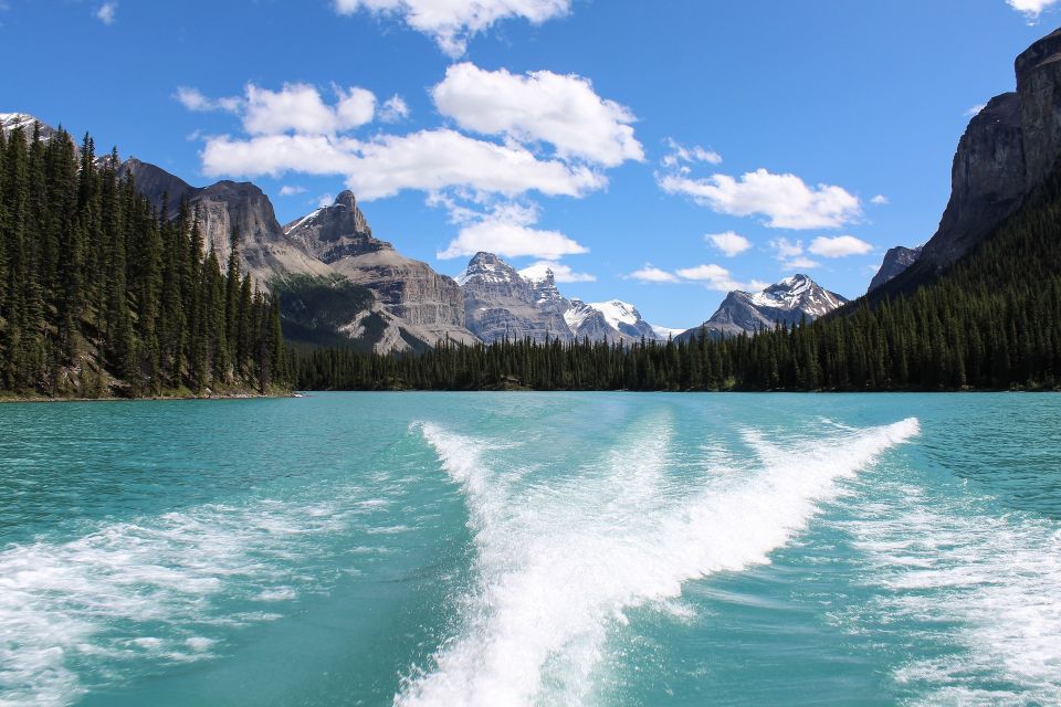 Jasper: Maligne Valley Wildlife Watching & Boat Tour - Experience