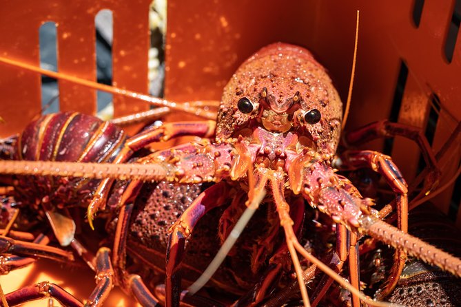 Kalbarri Rock Lobster Pot Pull Tour in Kalbarri - Planning Your Kalbarri Adventure