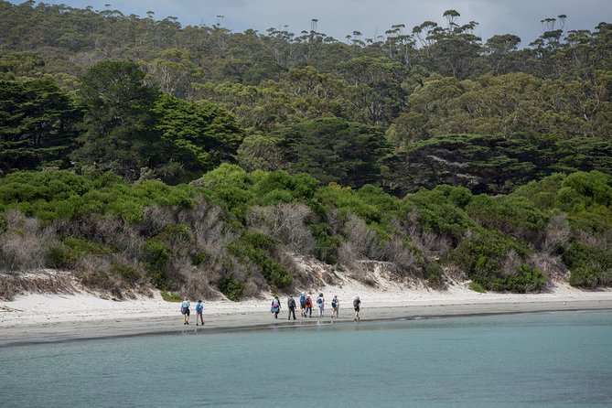 Maria Island Active Day Tour From Hobart - Booking and Cancellation Policy