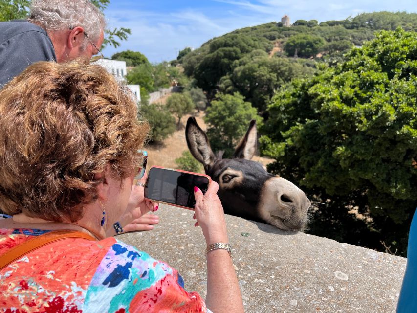 Naxos: Local Villages Cultural Food Tour - Final Words