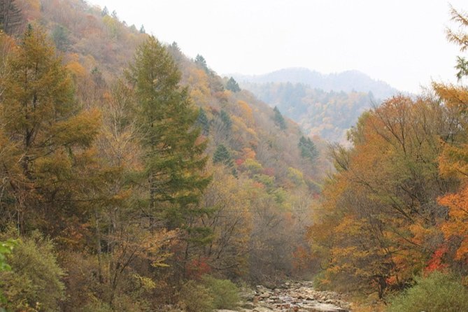 Odaesan National Park Hiking Day Tour: Explore Autumn Foliage Korea - Exploring Odaesan National Park