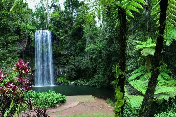 Paronella Park and Millaa Millaa Falls Full-Day Tour From Cairns - Booking and Cancellation Policies