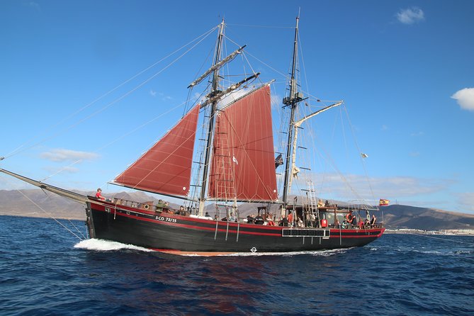 Pirate Adventure Boat Tour With Lunch in Fuerteventura - Additional Information