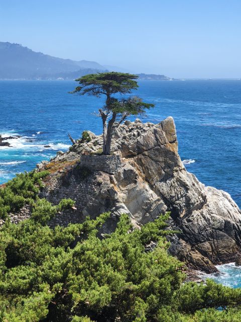 Private Tour Monterey, Aquarium, 17-mile Drive, Carmel - Common questions