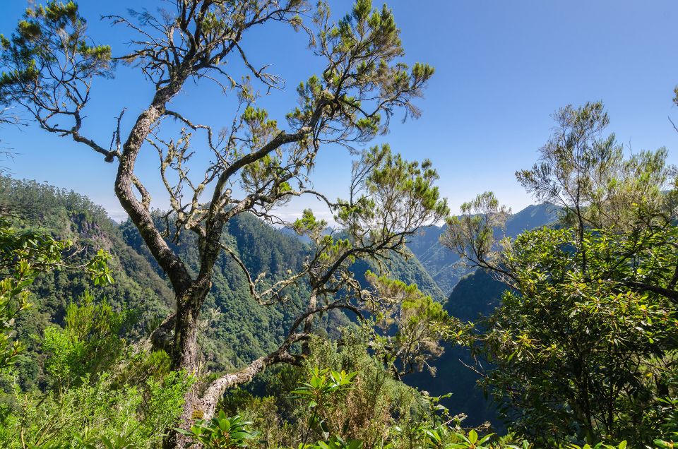 Ribeiro Frio / Portela - Levada Walk - Common questions