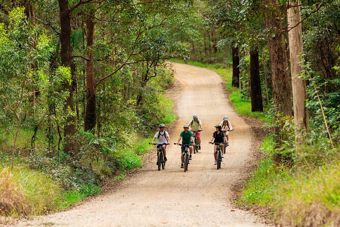 Self Guided E Bike Tour - Unicorn Falls, Rainforest & Rail Trail - Planning Your Day Out