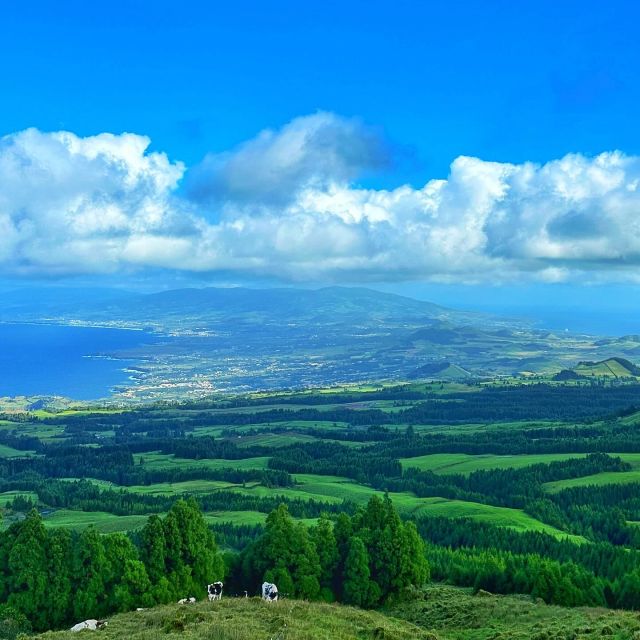 Sete Cidades Lakes - Off Road Tour - Common questions