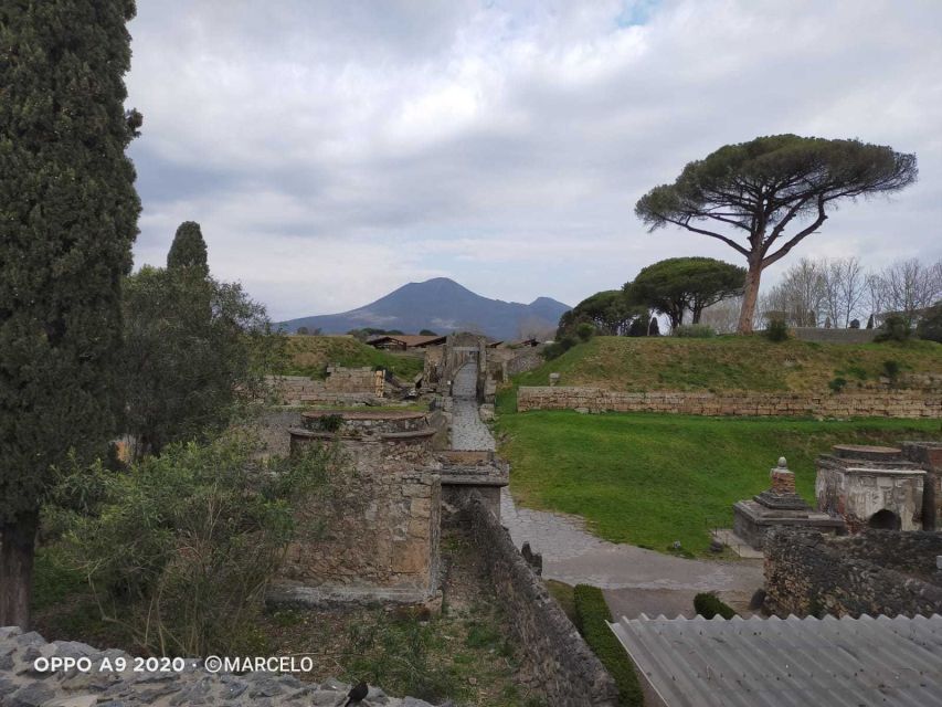 Sorrento: Half-Day Pompeii Tour With Official Guide - Final Words