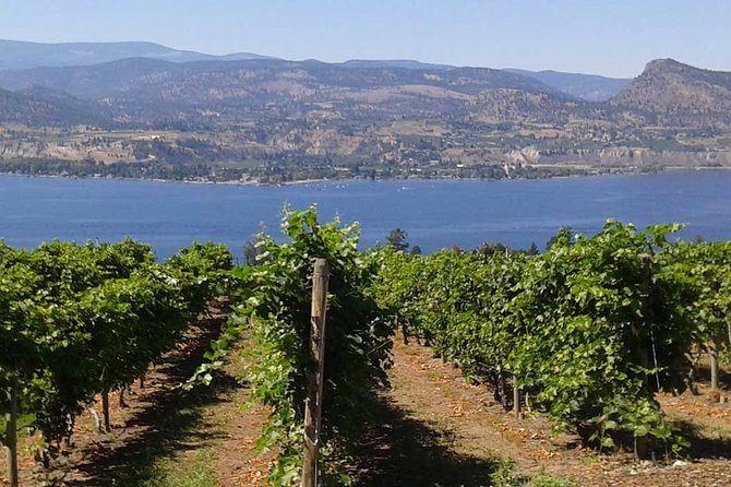 Unmatched Private Wine Tours for Up to 11 in Kelowna Area - Final Words