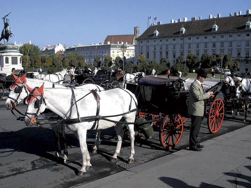 Vienna: Mozart Concert With Dinner and Carriage Ride - Common questions