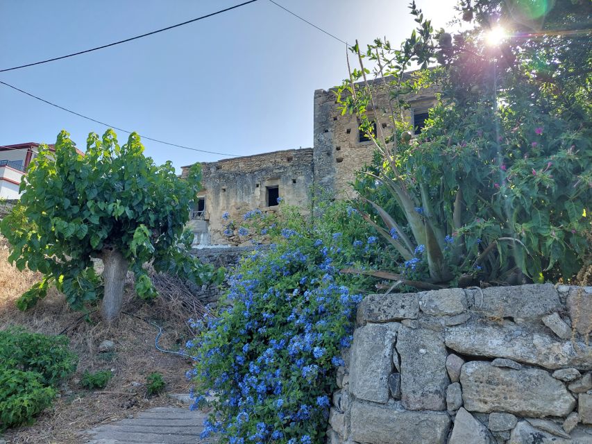 Chania: 5-Wine Tasting With Locals in Village Near Kissamos - Sustainability & Souvenirs