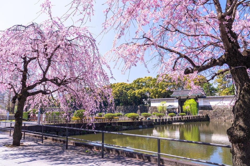 Chiyoda Imperial Palace Walking Tour - Final Words