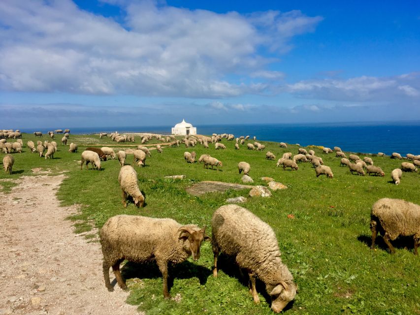 Hiking Tour Along the West Coastline - Common questions