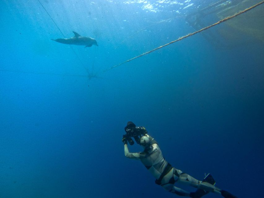 Kamiros Skala: Marine Life Experience by Boat - Final Words