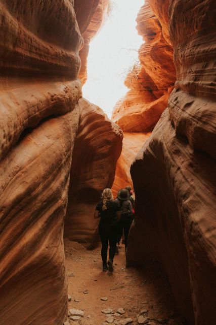 Kanab: Peekaboo Slot Canyon Great Chamber UTV Tour - Common questions