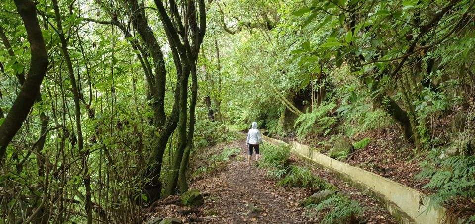 Madeira: Private Jeep 4x4 West Tour to Natural Pools - Final Words