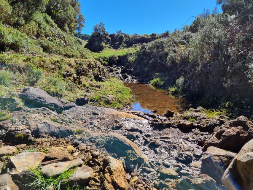 Madeira : SkyWalk, Fanal, Natural Pools 4x4 Jeep Tour - Final Words