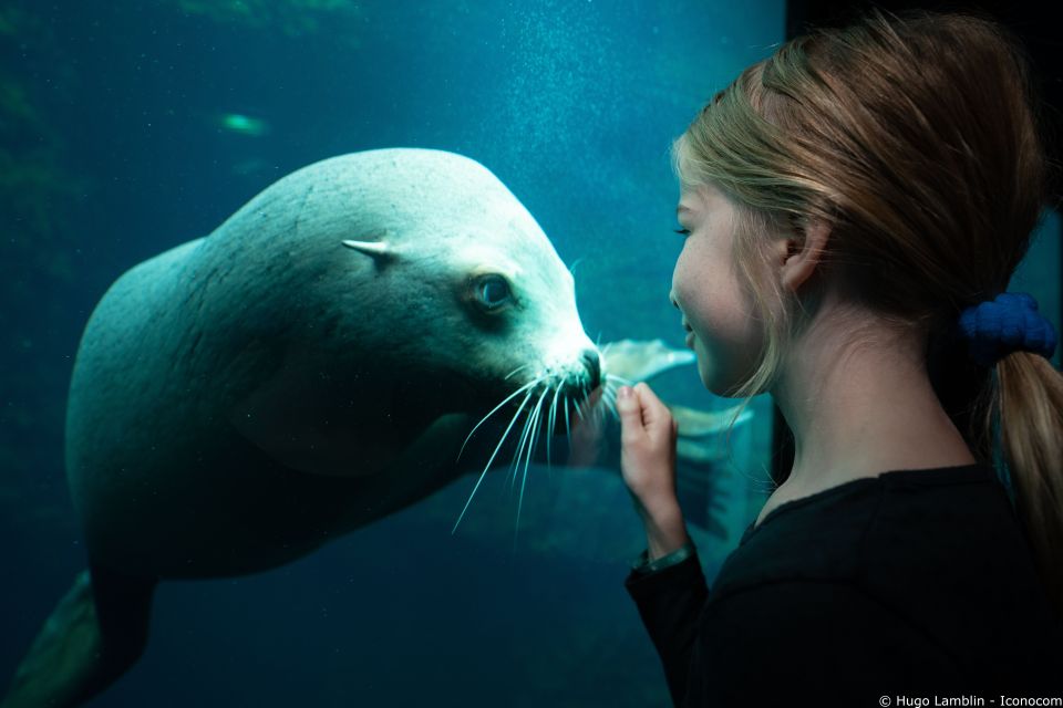 Nausicaá National Sea Centre: Full-Day Admission Ticket - Common questions