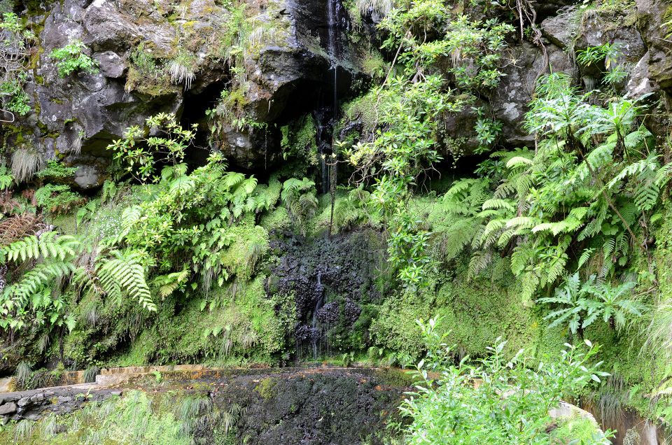 Ribeiro Frio / Portela - Levada Walk - Final Words