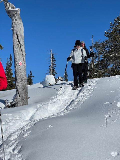 Snowshoeing At The Top Of The Sea To Sky Gondola - Final Words