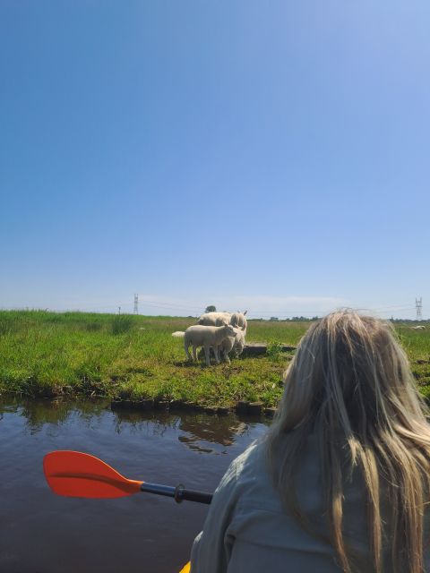 Amsterdam Countryside Bike and Kayak Tour - Key Points