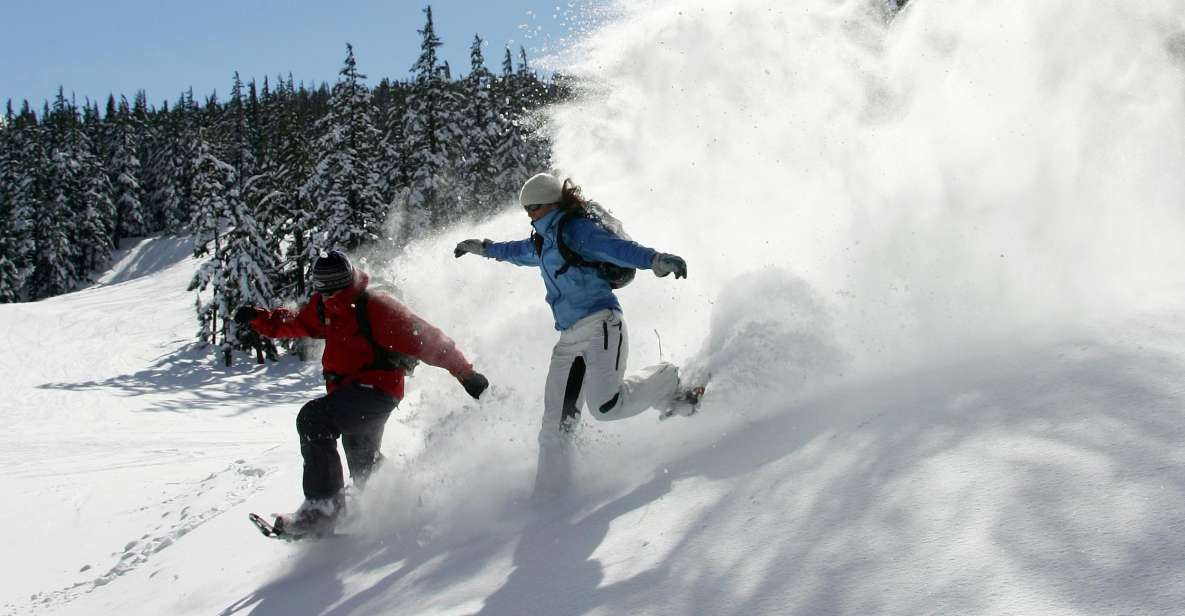 Bend: Half-Day Snowshoe Tour in the Cascade Mountain Range - Tour Details