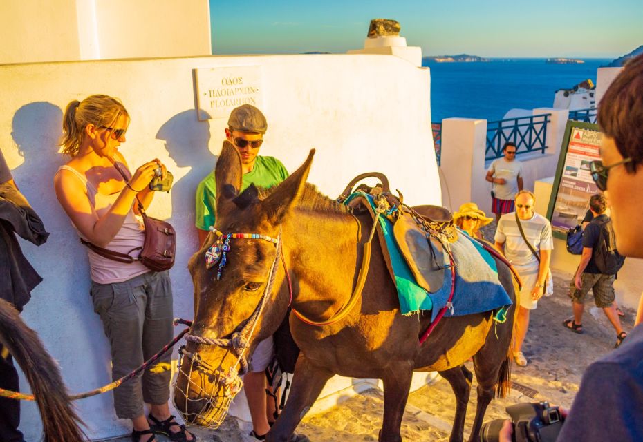 Best of Santorini Full Day Private Trip From Mykonos - Key Points