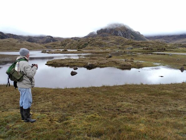 Cajas Unveiled: a Half-Day Escape From Cuenca - Key Points