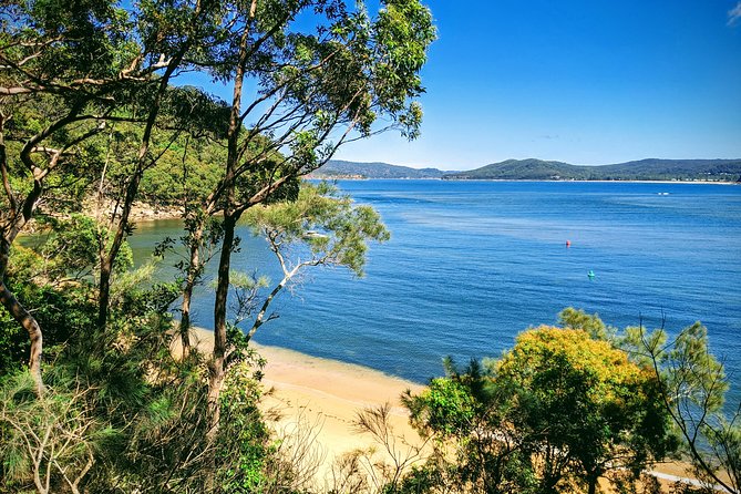 CENTRAL COAST PRIVATE TOUR Waterfalls, Beach Lookouts, Aboriginal Rock Art - Key Points