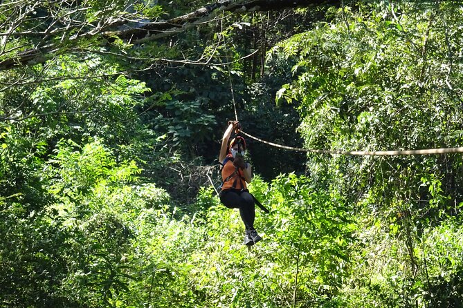 Costa Rica Monkey Jungle Zipline From Tamarindo - Key Points