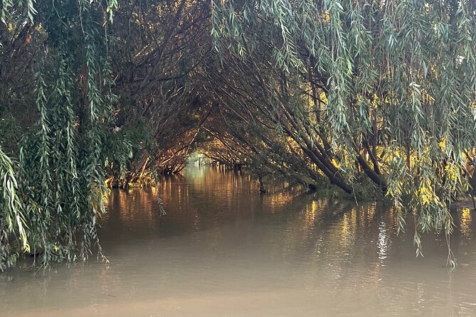 Customized Tigre Delta Tour Lunch and Drink Included - Tour Overview