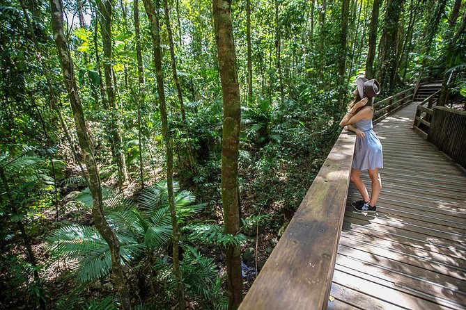 Daintree Rainforest and Cape Tribulation Full Day Tour - Key Points