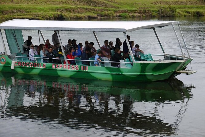 Daintree River Cruise - Key Points