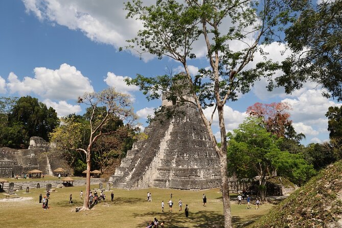 Day Trip to Tikal Maya Ruins Including Lunch - Trip Highlights