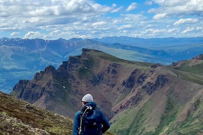 Denali National Park Walking Tour - Key Points