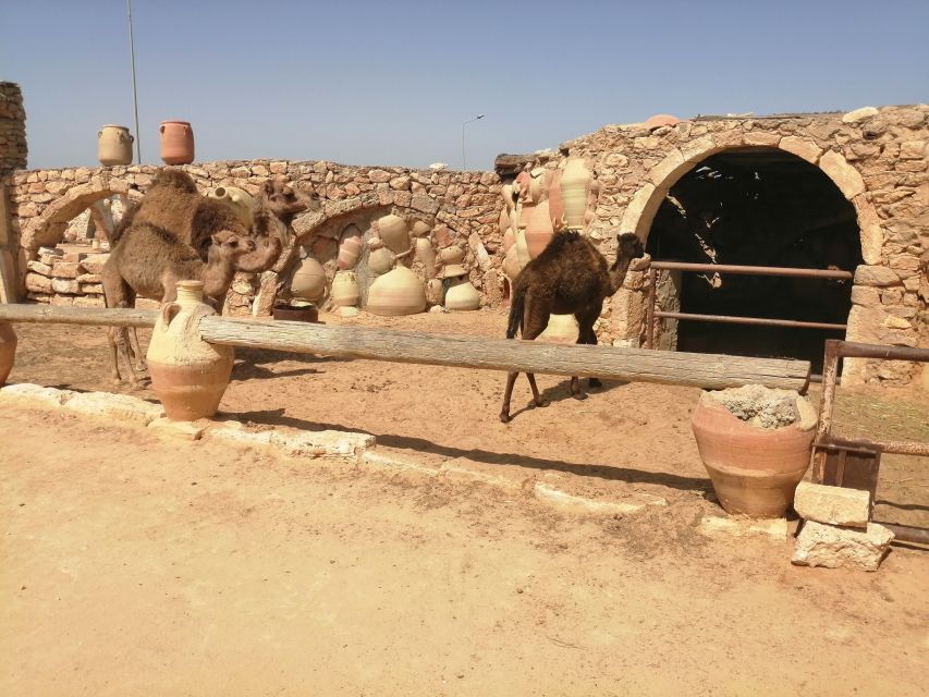 Djerba: Pottery Village and Heritage Museum Tour - Key Points