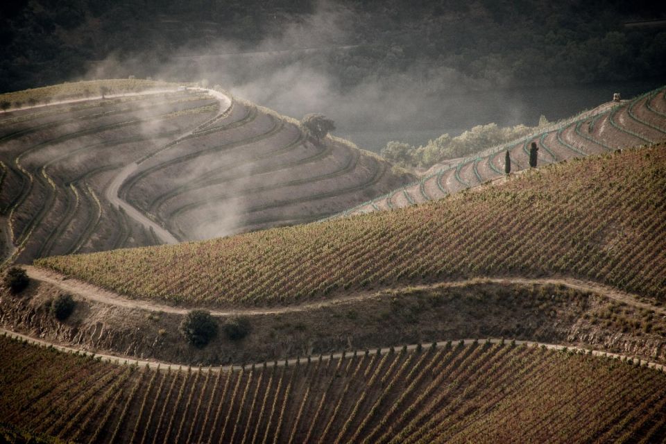 Douro Valley: 1 Day Landscape Photo Tour - Key Points