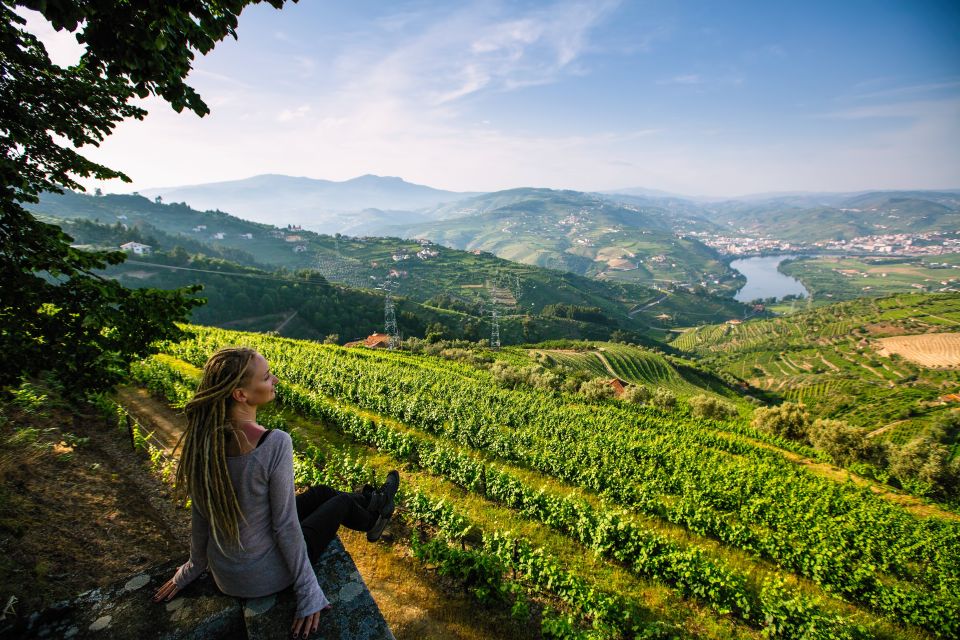 Douro Valley Delights: Wine Tasting and Scenic Vistas - Key Points