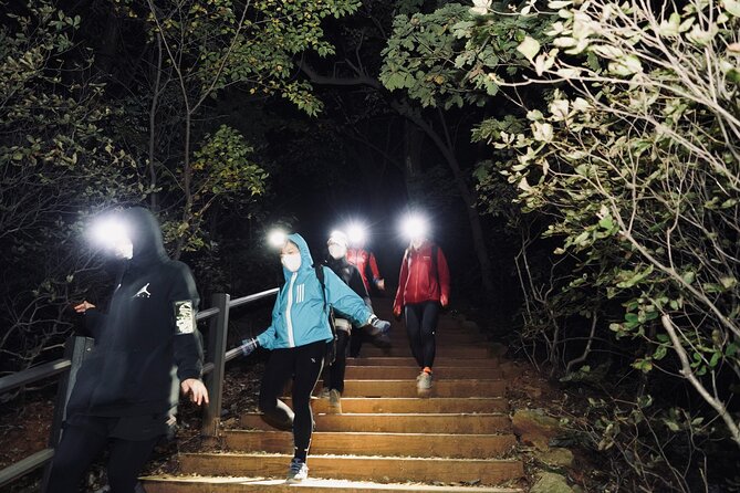 Enjoy the Night View of Busan From Hwangnyeongsan Mountain - Key Points