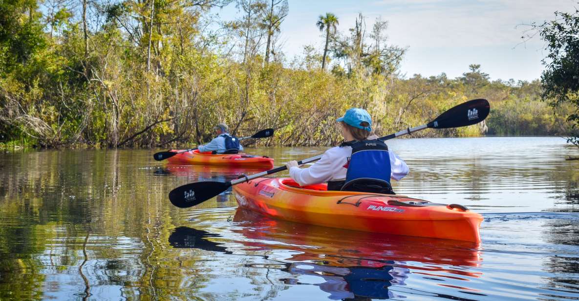 Everglades City: Guided Kayaking Tour of the Wetlands - Activity Details