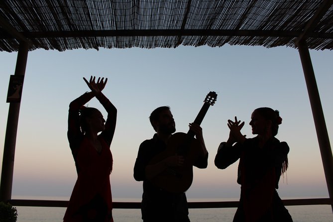 Flamenco Evening and Barbecue by the Sea at the Blue Dolphin Beach Club - Key Points