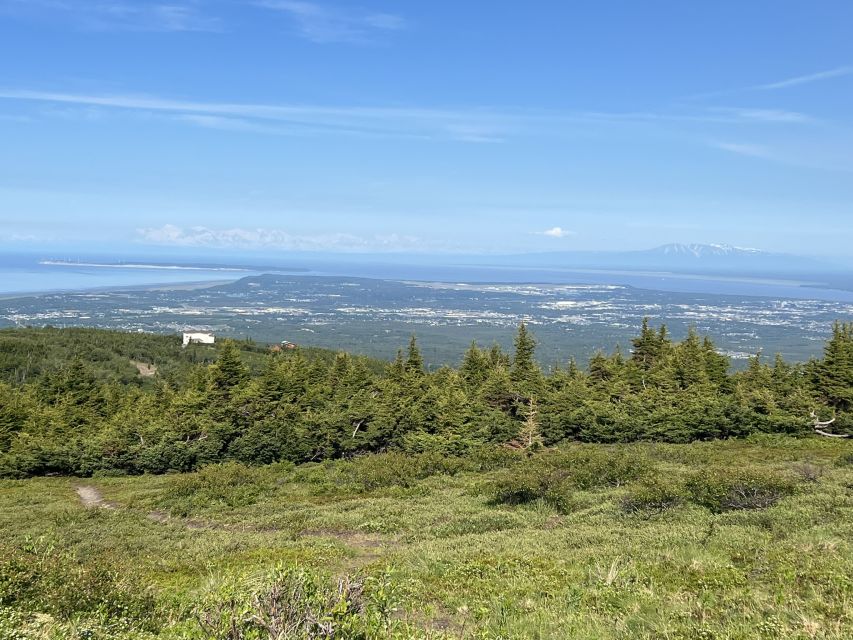 From Anchorage: Chugach State Park Walk With Naturalist - Activity Details