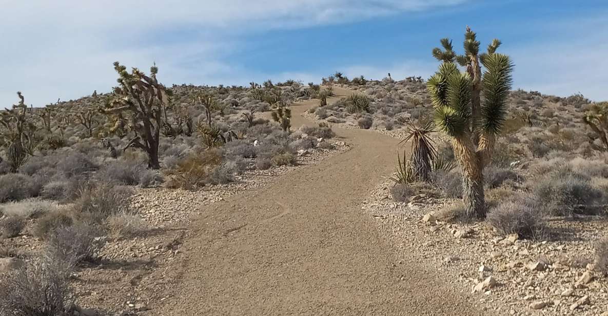 From Las Vegas: ATV Off-Road Adventure With Transfer Shuttle - Key Points