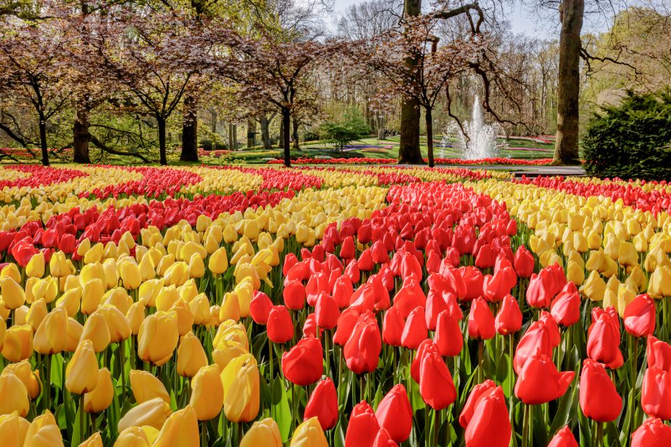 From Leiden Central: Keukenhof Ticket & Public Bus Transfer - Key Points