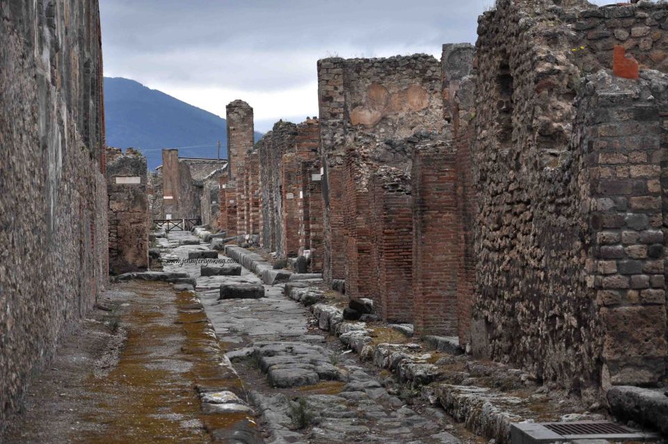 From Naples: Private Guided Tour of Pompeii - Key Points