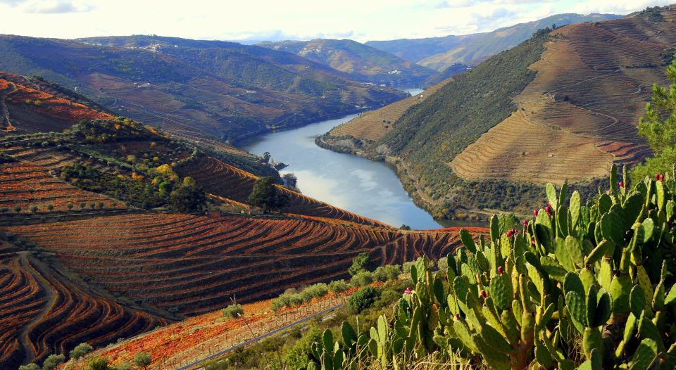 From Porto: Douro Valley Full-Day Tour - Key Points