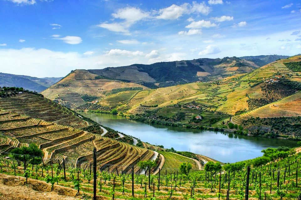 From Porto: Douro Valley Small Group Food and Wine Tour - Key Points