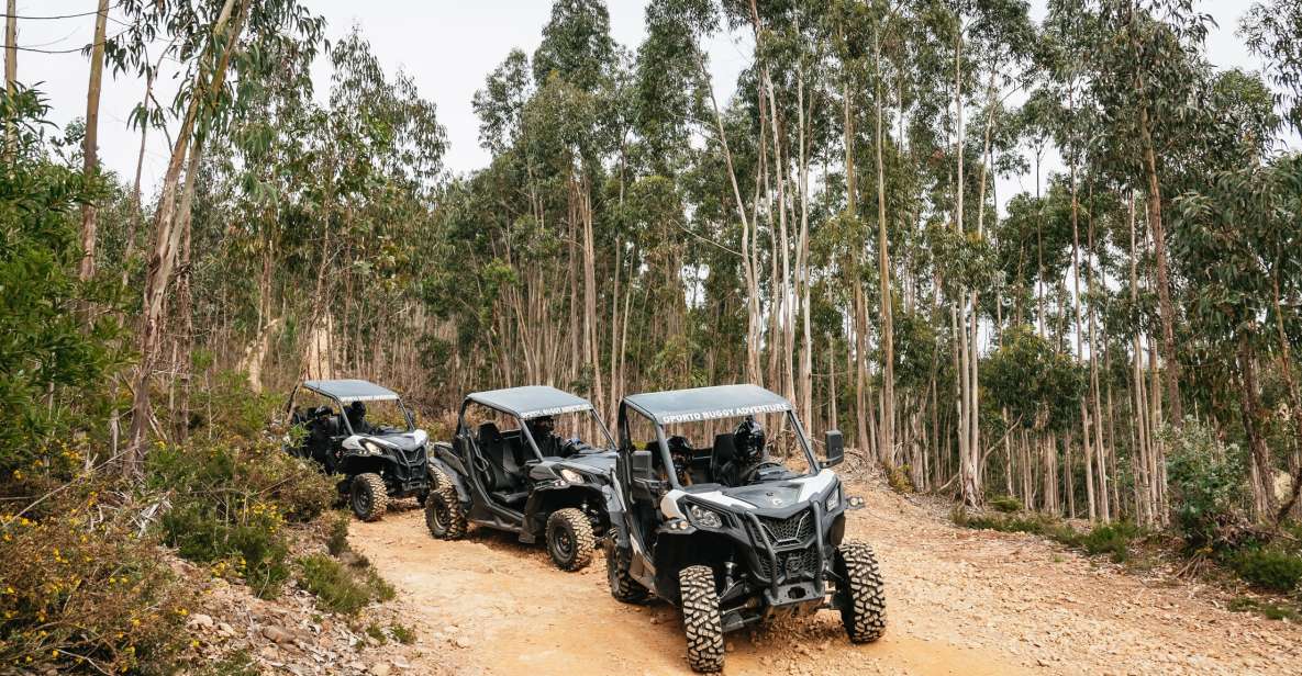 From Porto: Off-Road Buggy Adventure - Key Points