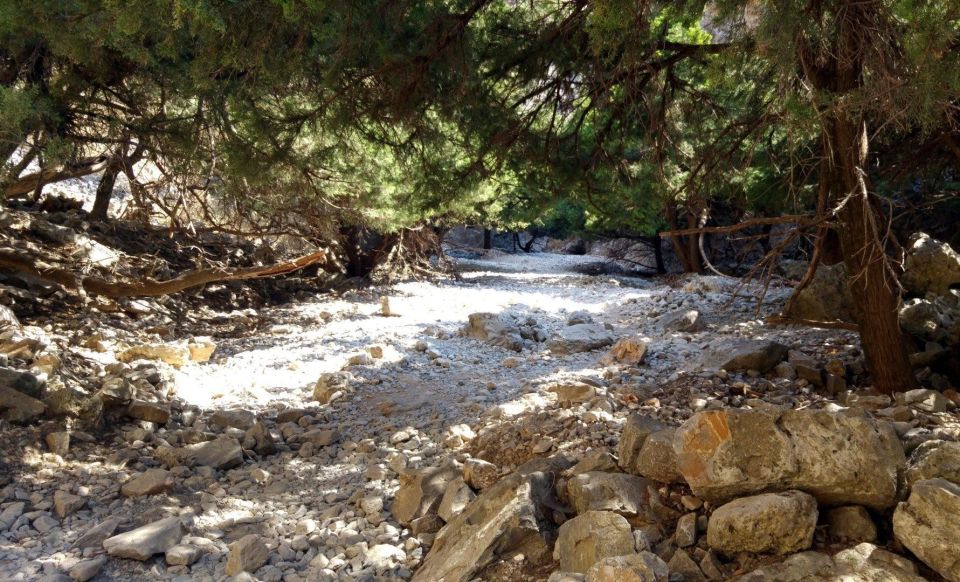 From Rethymno/Chania: Imbros Gorge Hike - Key Points